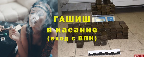 крисы Алзамай