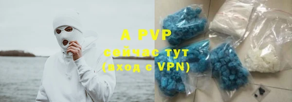 крисы Алзамай