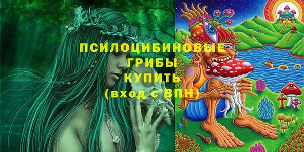 шишки Алексин