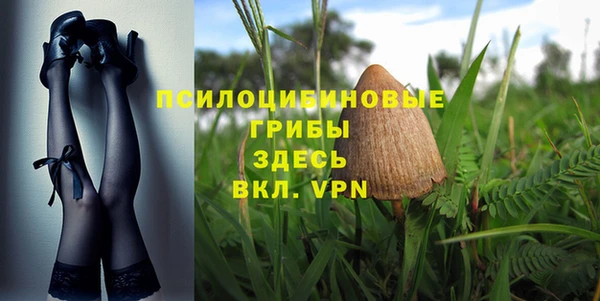 крисы Алзамай